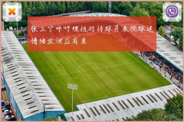 张玉宁呼吁理性对待球员表现球迷情绪发泄应有度